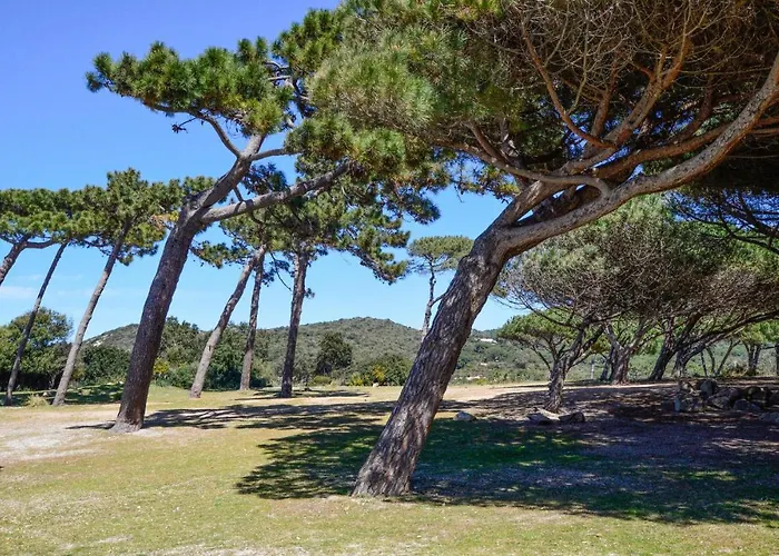 Lovely In Chiavari With Wifi Holiday home Coti-Chiavari (Corsica)